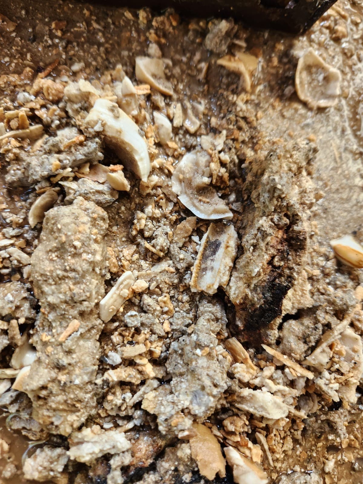 Oxidación y desgaste en componentes de sala de calderas que requieren recambio.